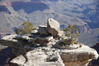 Grand Canyon Trip 2010 009
